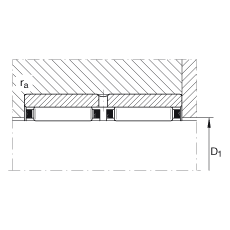 滾針軸承 RNAO20X28X26-ZW-ASR1, 無擋邊，雙列